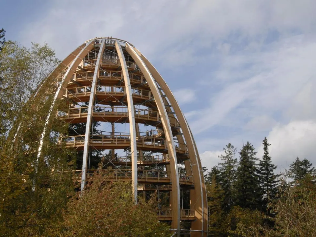 Ferienhaus Huetter Neuschönau Allemagne